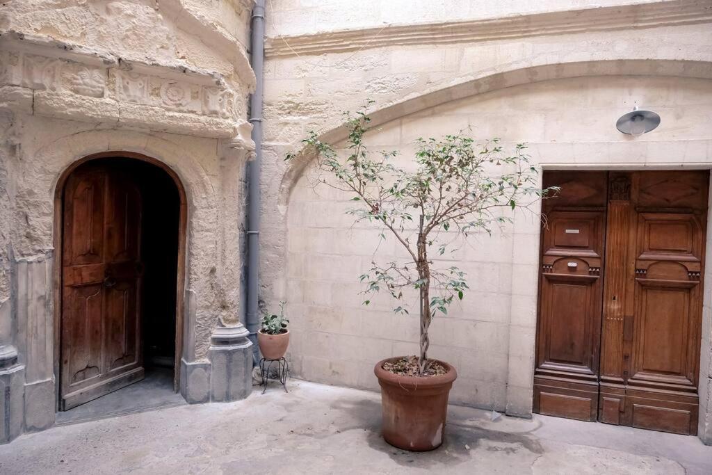 Noa - Mont Piete Studio Intramuros - Avignon Exterior photo